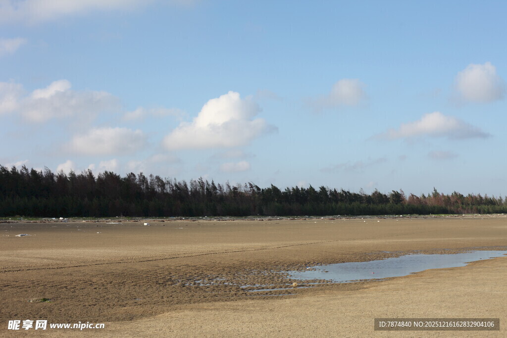 空旷河滩与蓝天绿树景观
