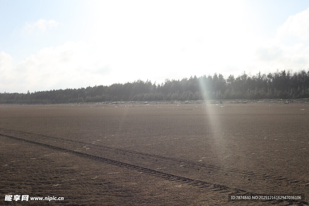 广阔田野与远处树林美景