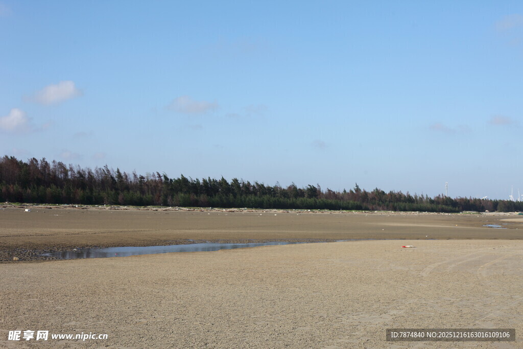 空旷沙滩与远处树木景观