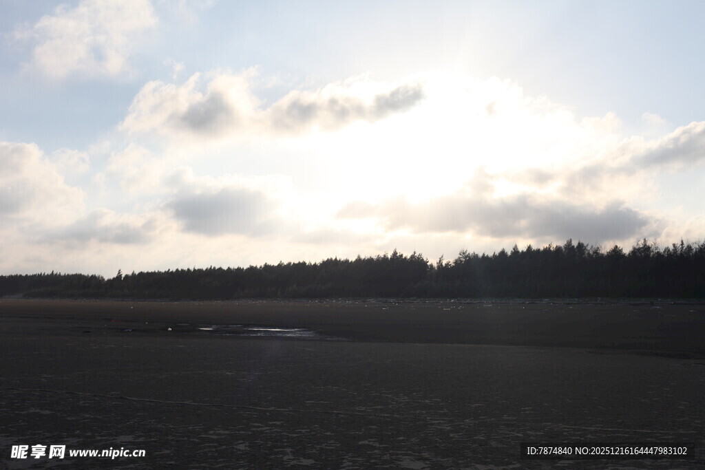 夕阳下的开阔田野风光