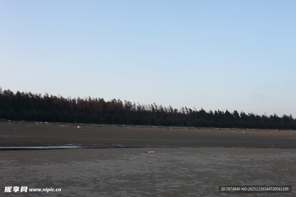 空旷原野与远方树林景观