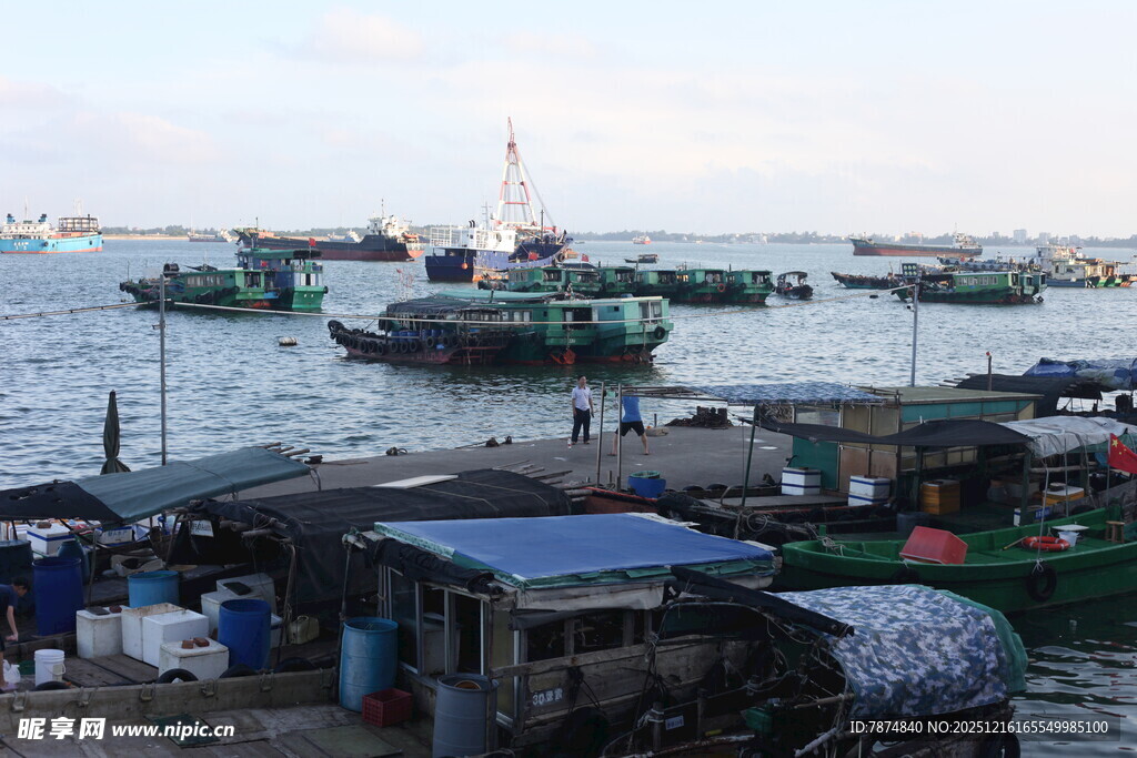 渔港码头的繁忙景象