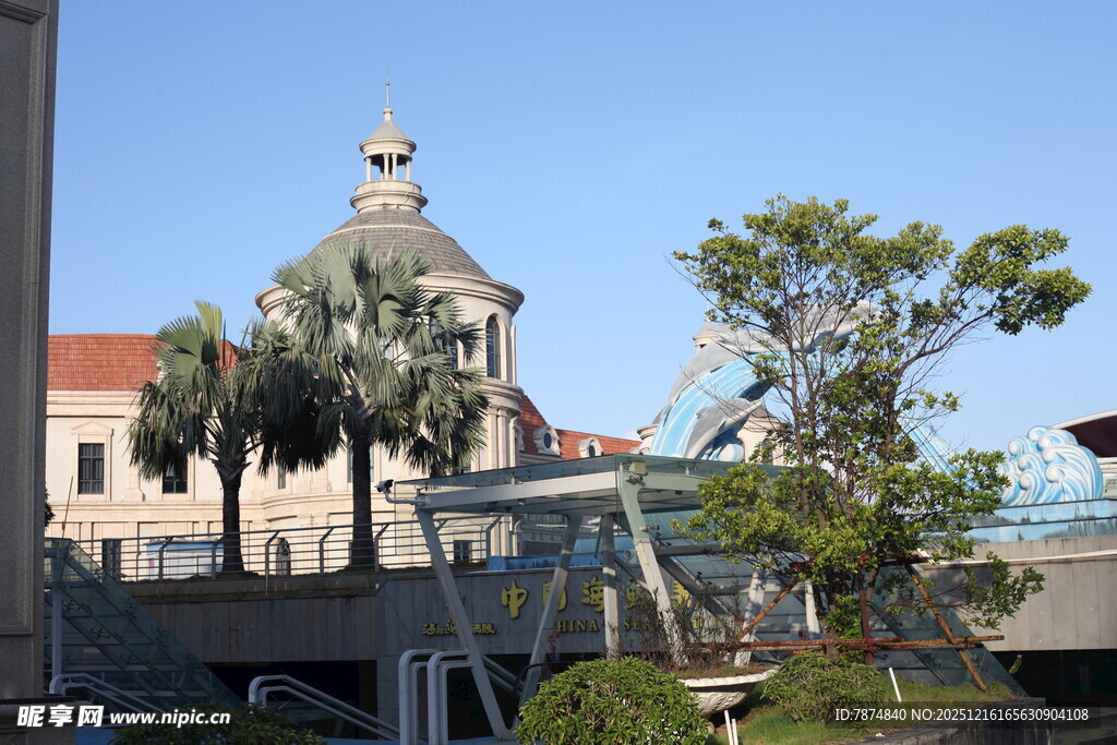 城市中的独特建筑与绿树