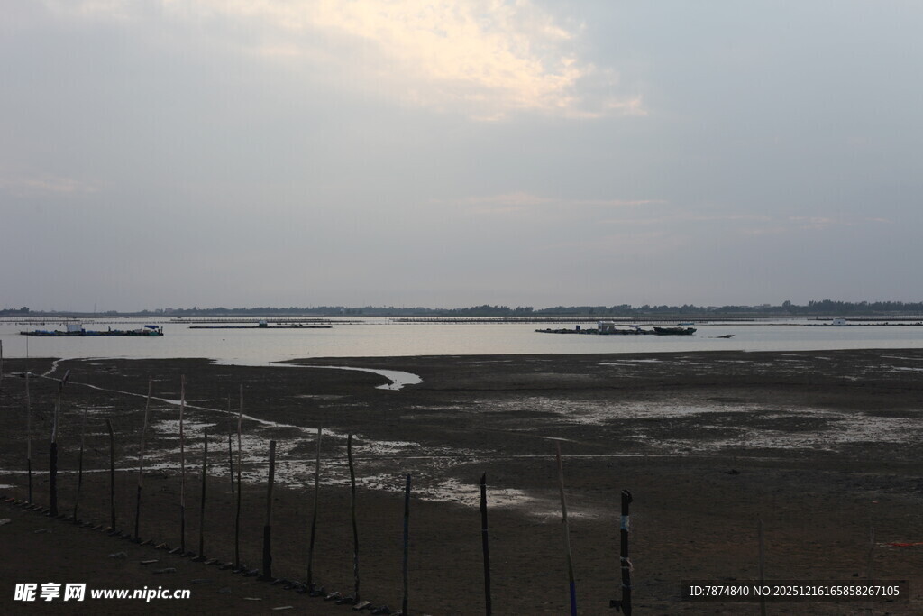 黄昏下的江畔景致