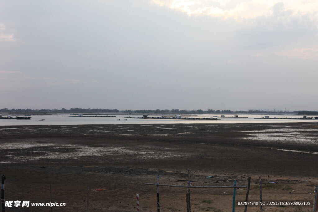 海边滩涂景象