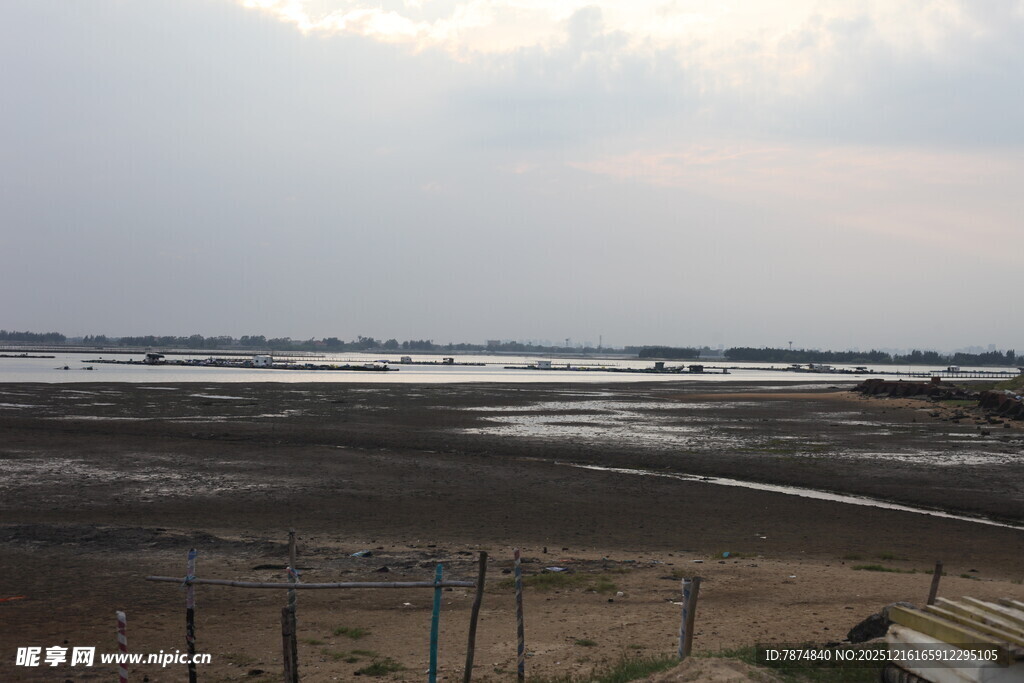 海边滩涂景象