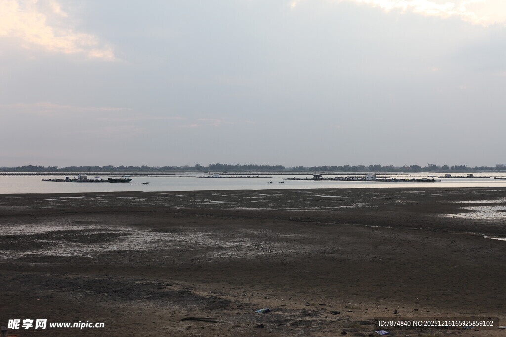 黄昏下的宁静滩涂景观