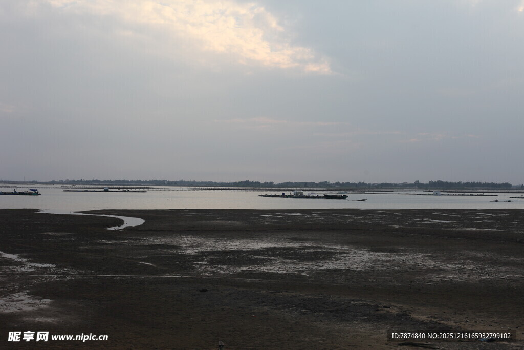 黄昏下的宁静河岸风光