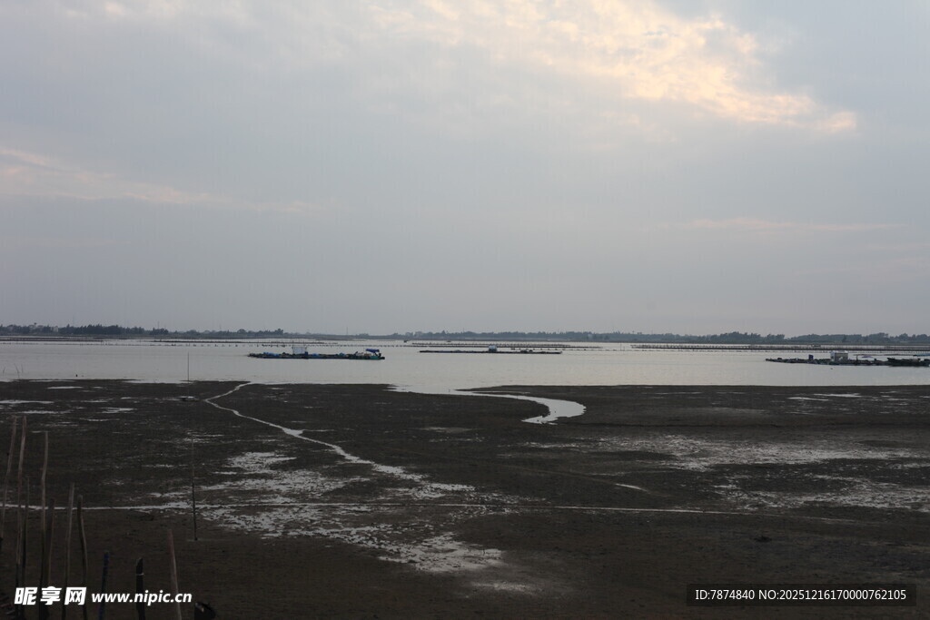 海边滩涂景象