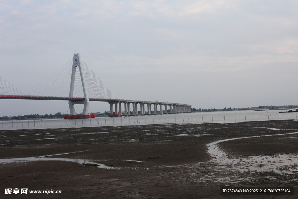 跨海大桥近景景观