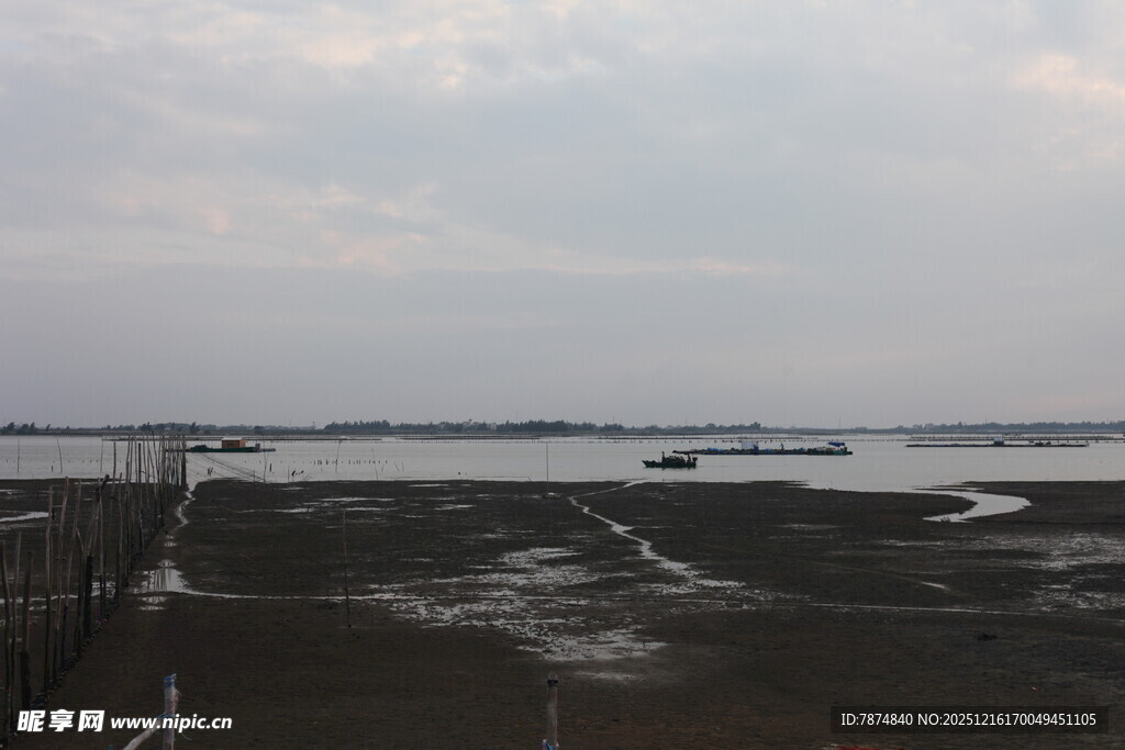 海边滩涂景象