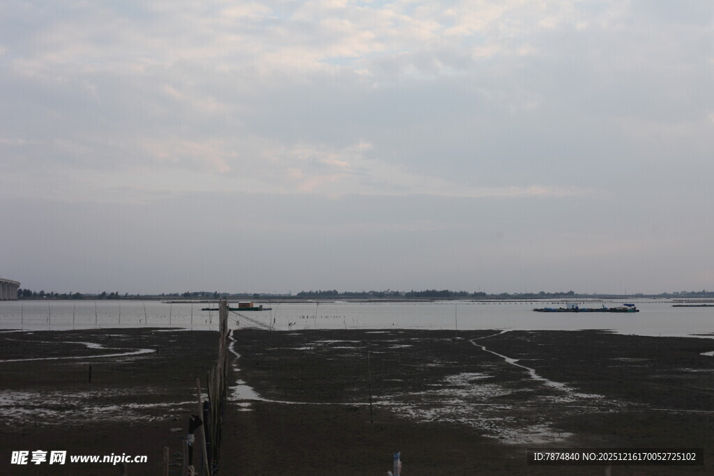 湿地风光 宁静的自然景致