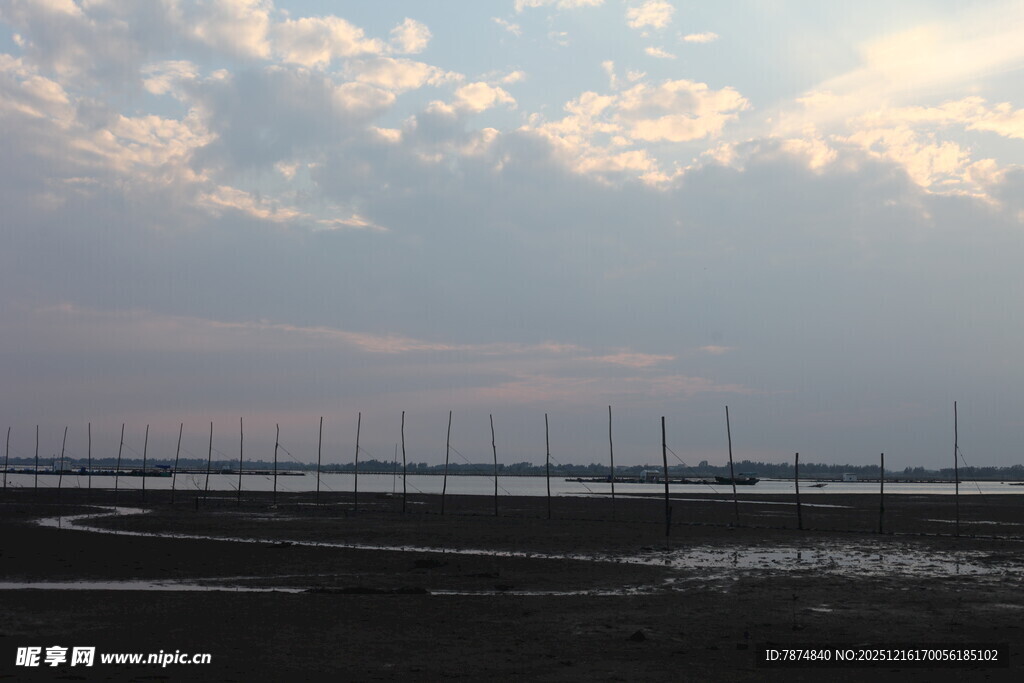 海边暮色中的林立桅杆