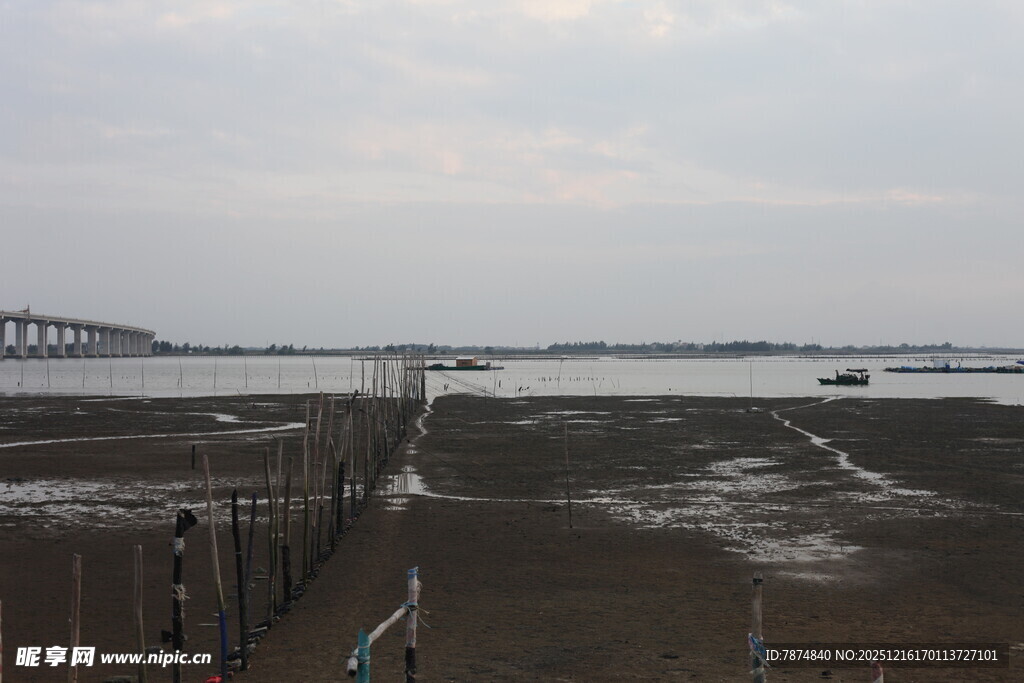 海边滩涂景象
