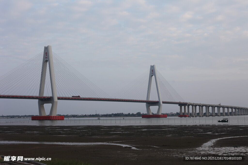 壮观大桥横跨天际