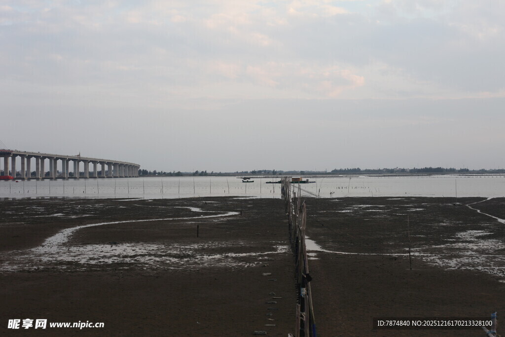 海边滩涂与远处桥梁景象