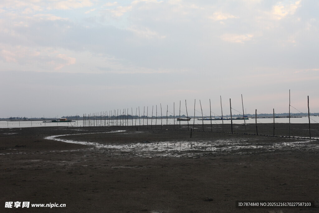 海边滩涂与林立的桩柱