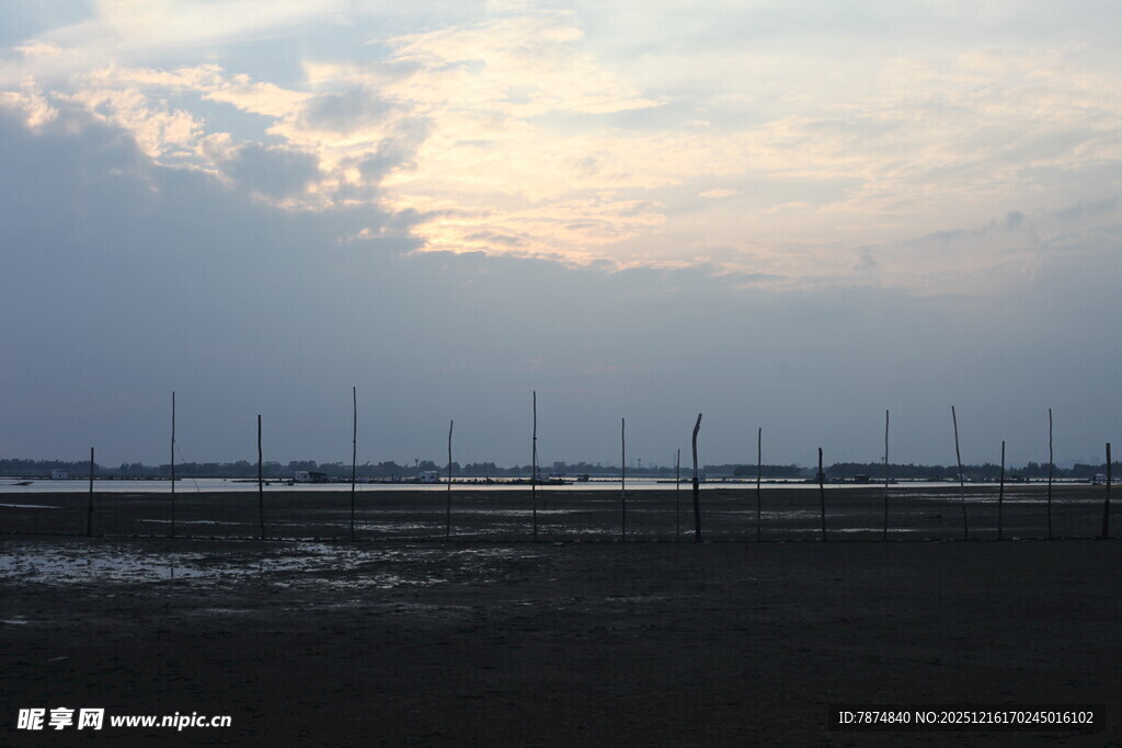 黄昏下的田野与林立电杆