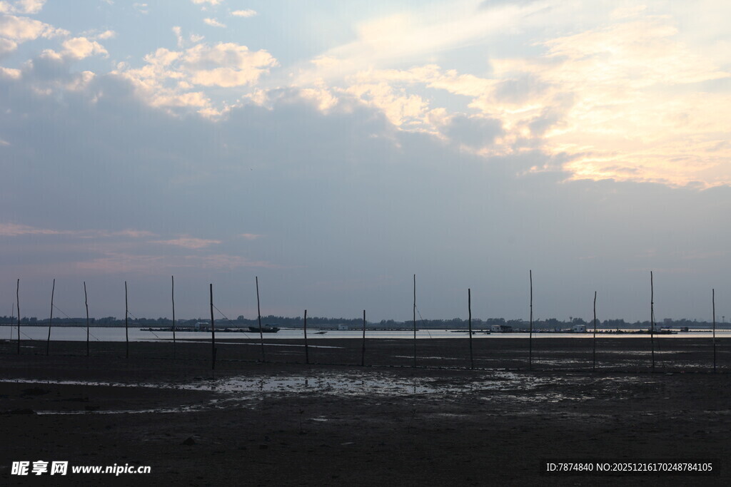 海边暮色中的林立木桩