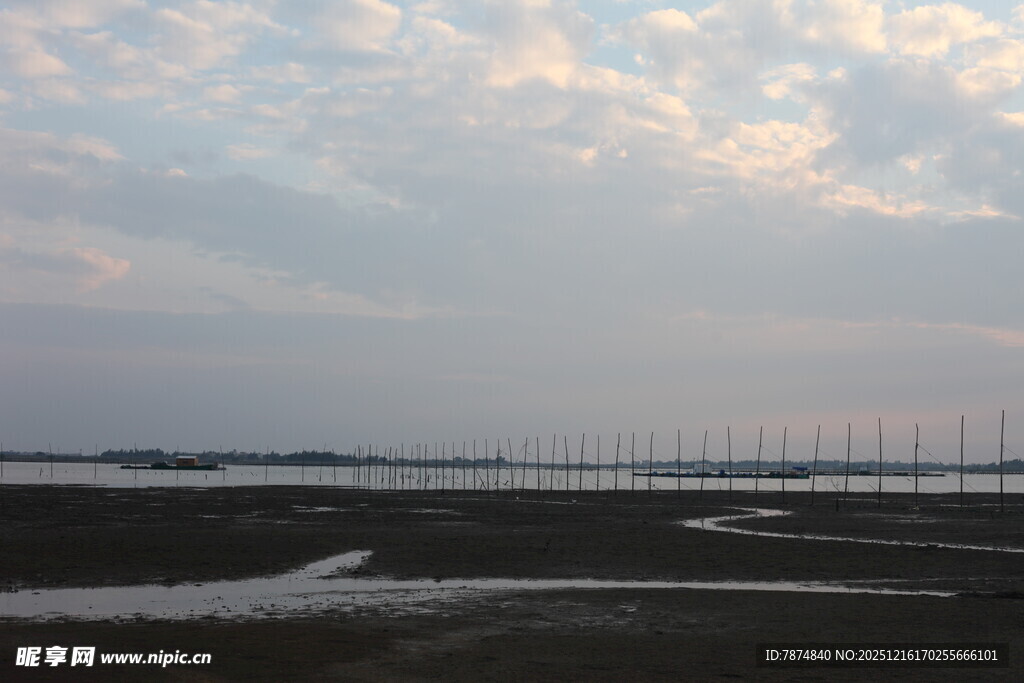 黄昏下的湿地与远处风车