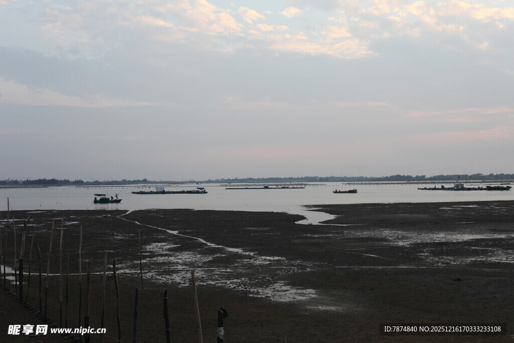 黄昏下的江畔滩涂景象