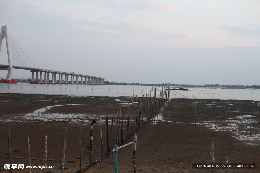 江边桥梁与滩涂风景