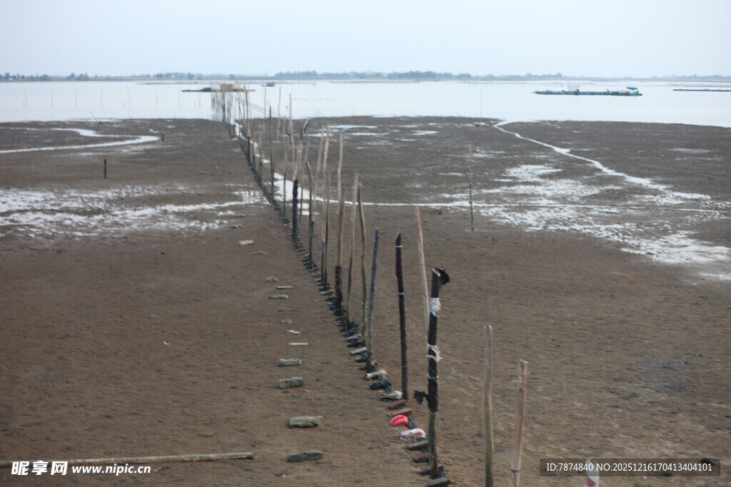 海边滩涂的风力发电设施