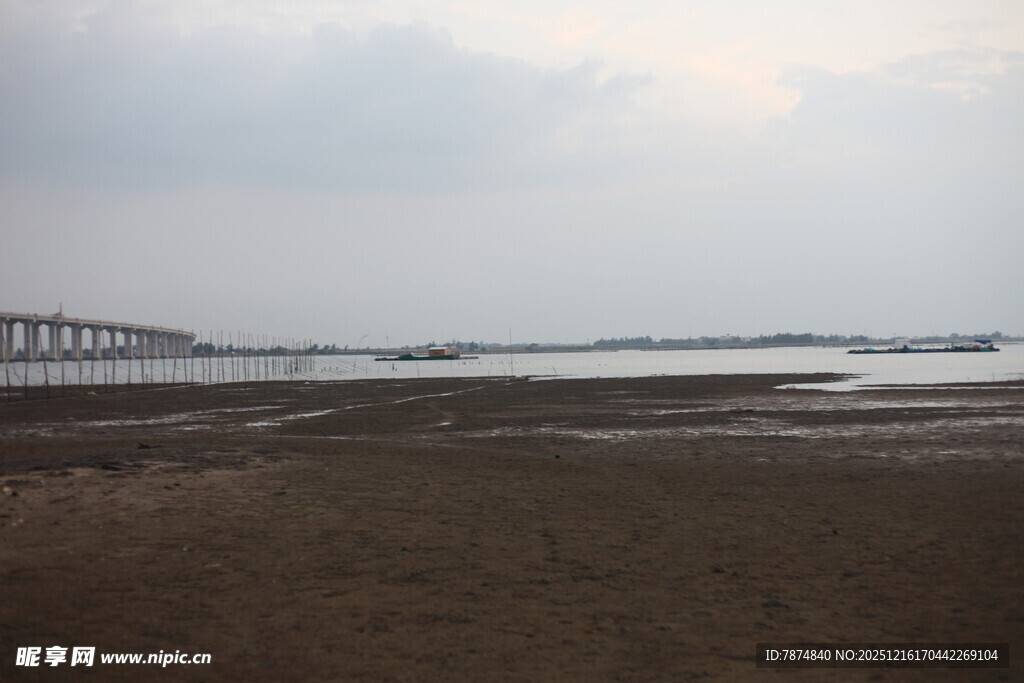 海边滩涂与远处桥梁景观