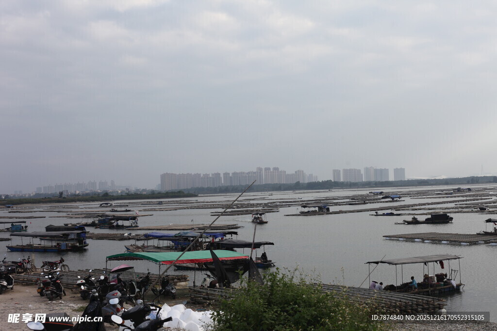 水上船只停泊的热闹场景