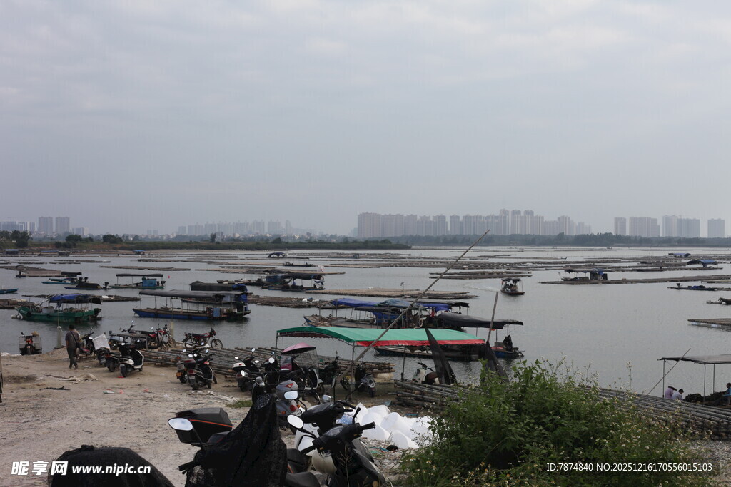 河畔船只停泊景象