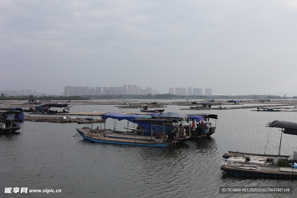 水上停泊的船只景观