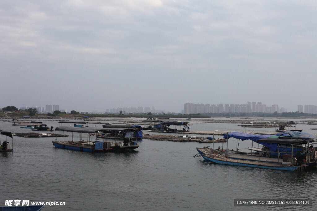 港口停泊的众多船只