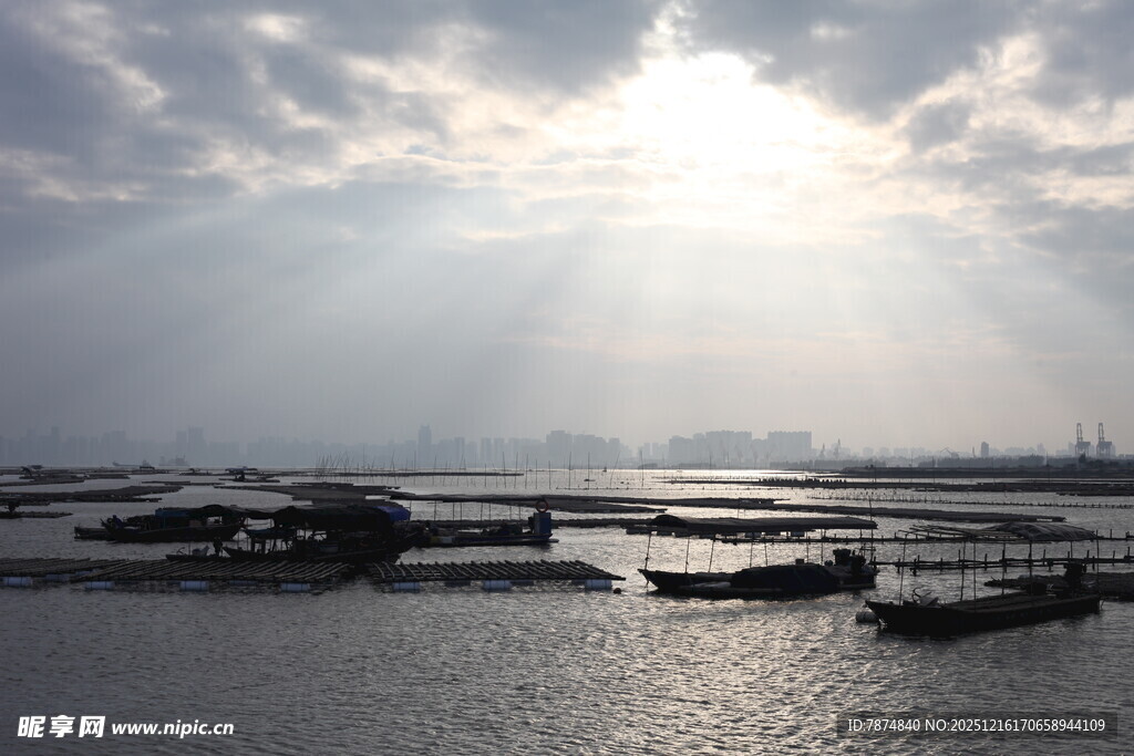 海上日出洒金波光粼粼