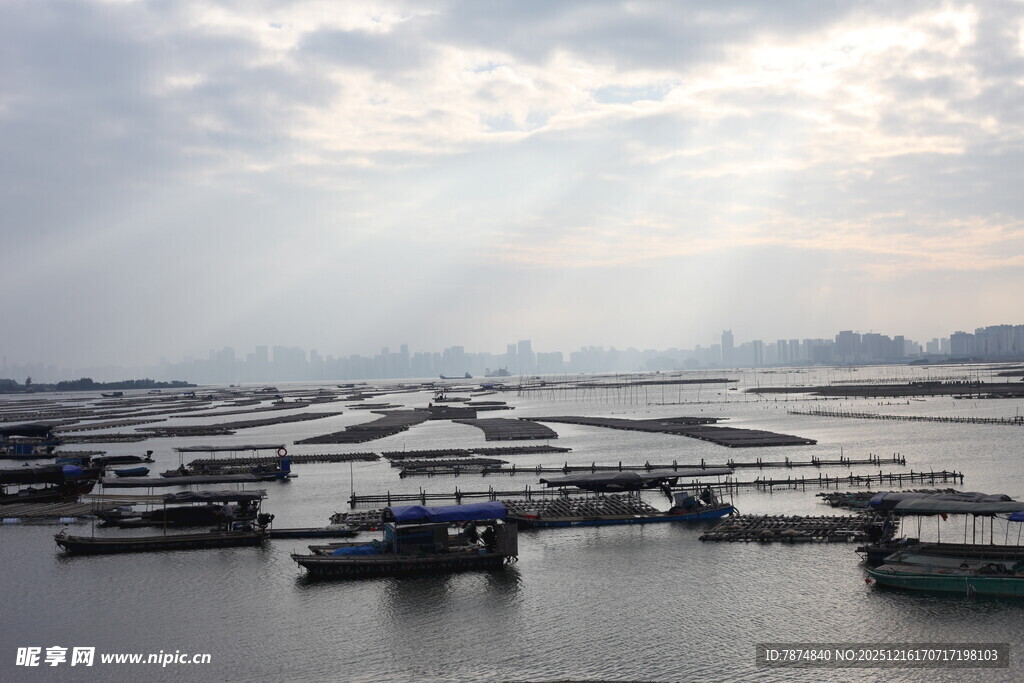 海港码头船只风景