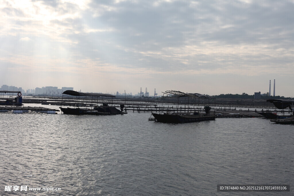 港口停泊的船只景象
