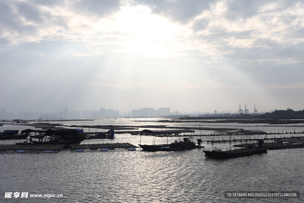 阳光照耀下的港口水域