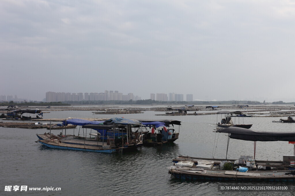 港口停泊的船只景象