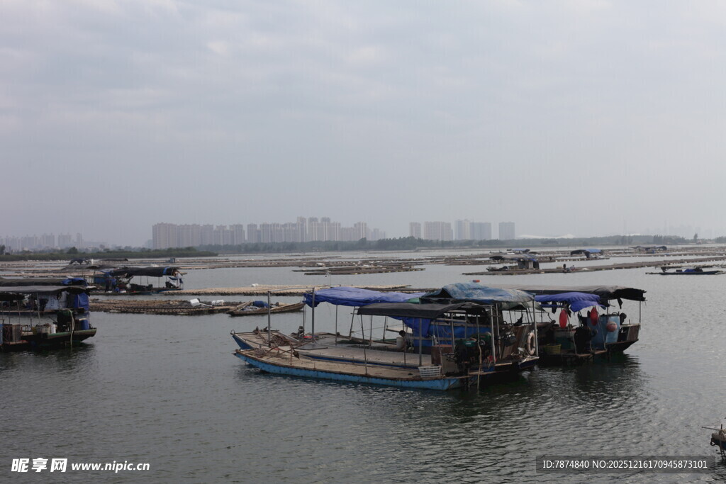 水上停泊的船只景观