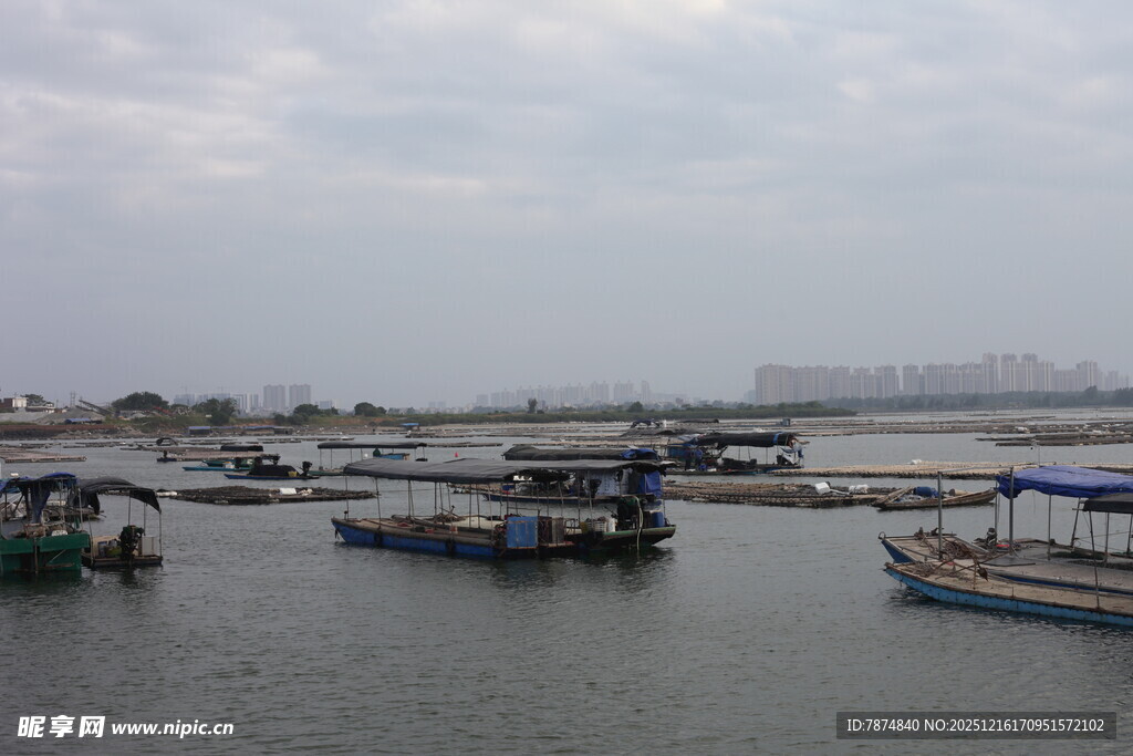 宁静港湾中的停泊船只