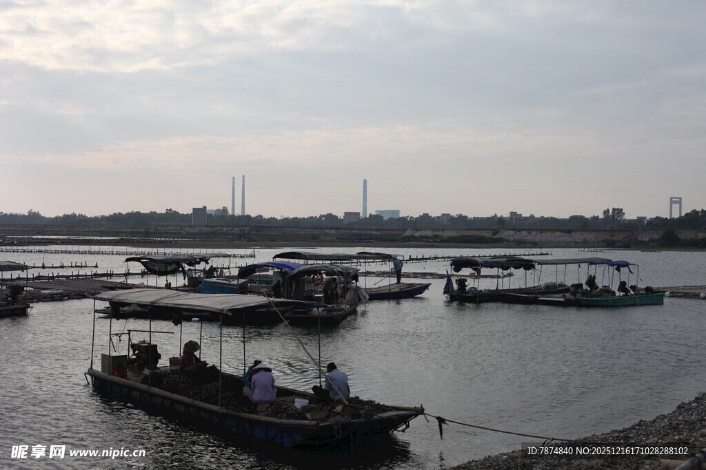 河畔停泊的船只景观