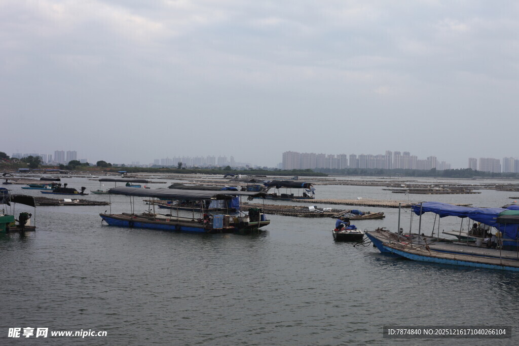 港湾停泊的多彩船只
