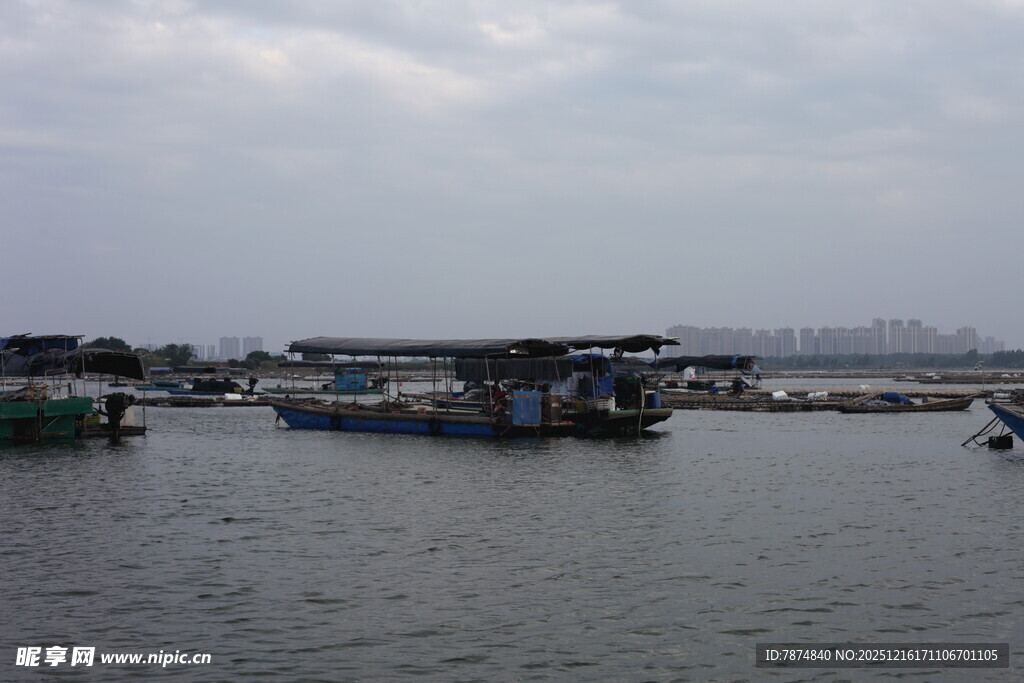 港湾中的停泊船只
