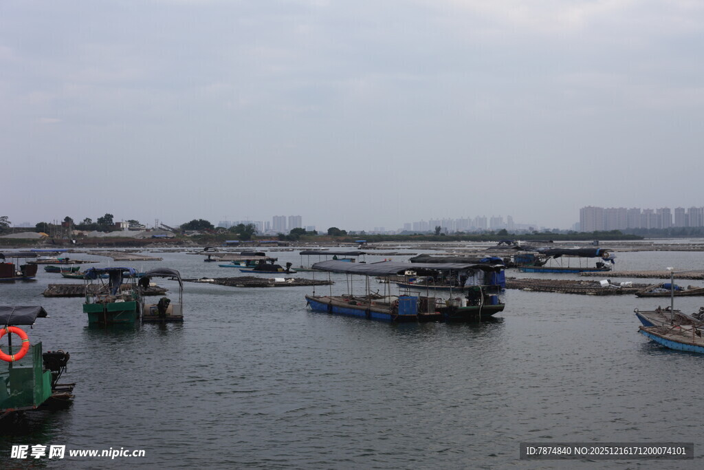 港湾中的停泊渔船