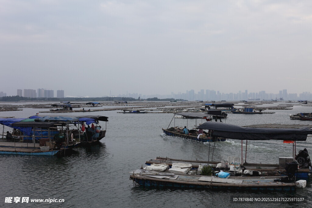 水上停泊的船只景观