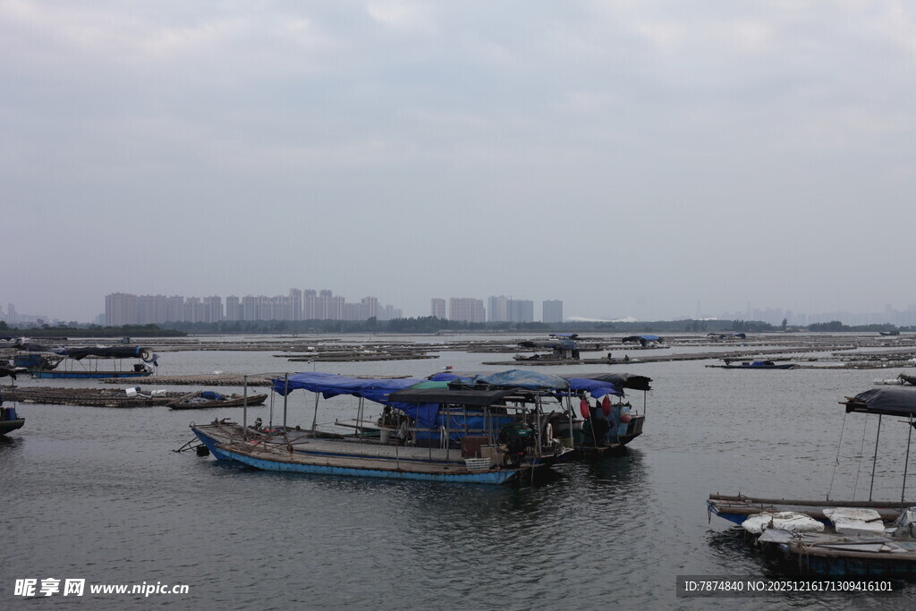 宁静港湾中的停泊船只