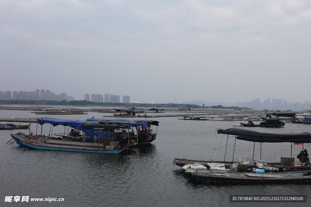 港湾中的停泊船只