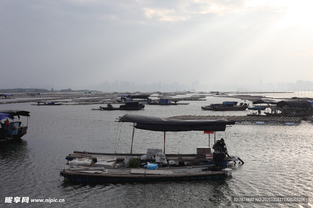 水上船只停泊的静谧场景