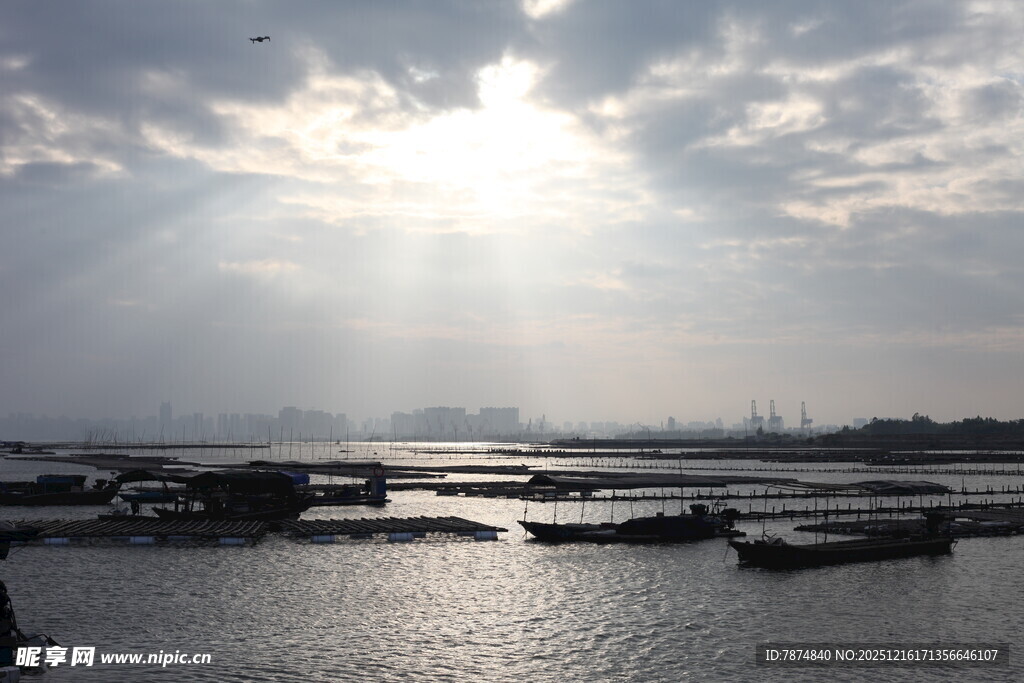 阳光洒照下的宁静水域