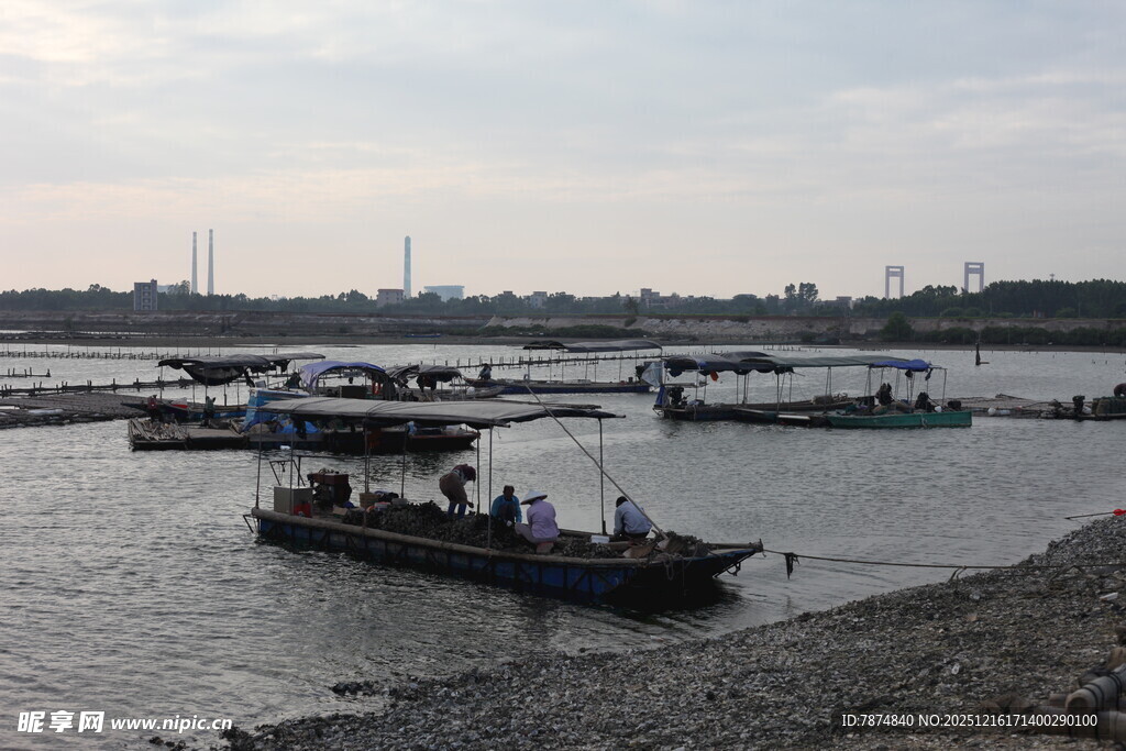 江边停泊的多艘船只