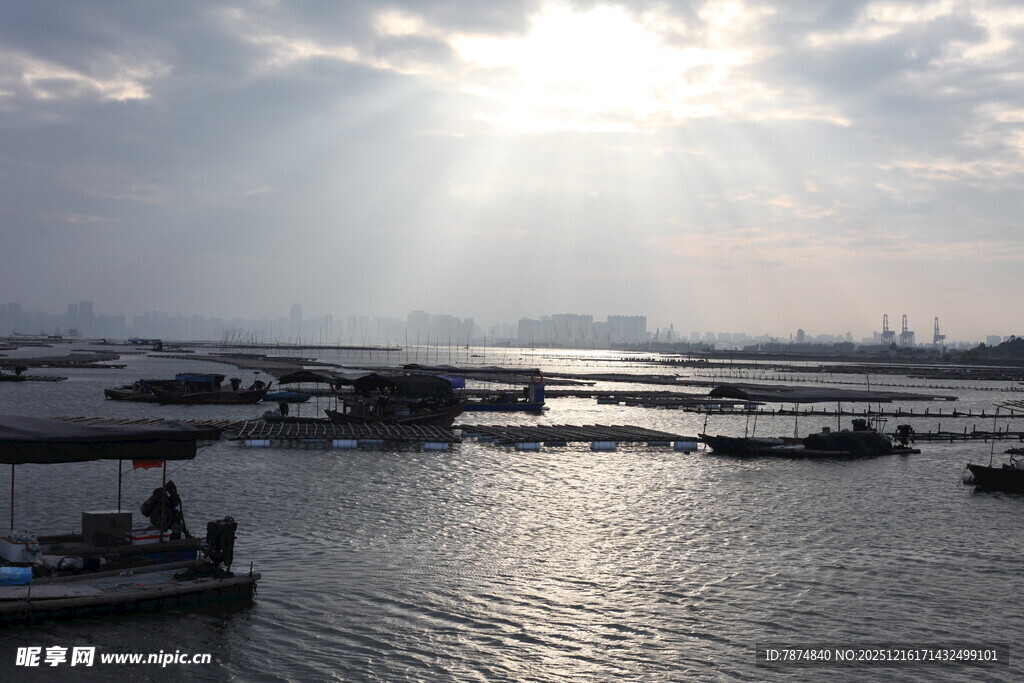 海港晨光下的船只景象